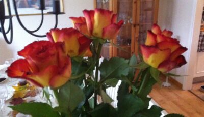 En blomma till nya grannar,